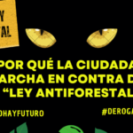 ¿Por qué la ciudadanía marcha en contra de la “Ley Antiforestal”?