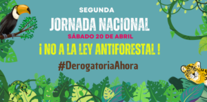 Continúa la movilización por la defensa de nuestros bosques