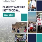 Plan Institucional de FOVIDA 2023-2028