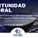 Convocatoria- Junín | Especialista en comunicación para incidencia en políticas
