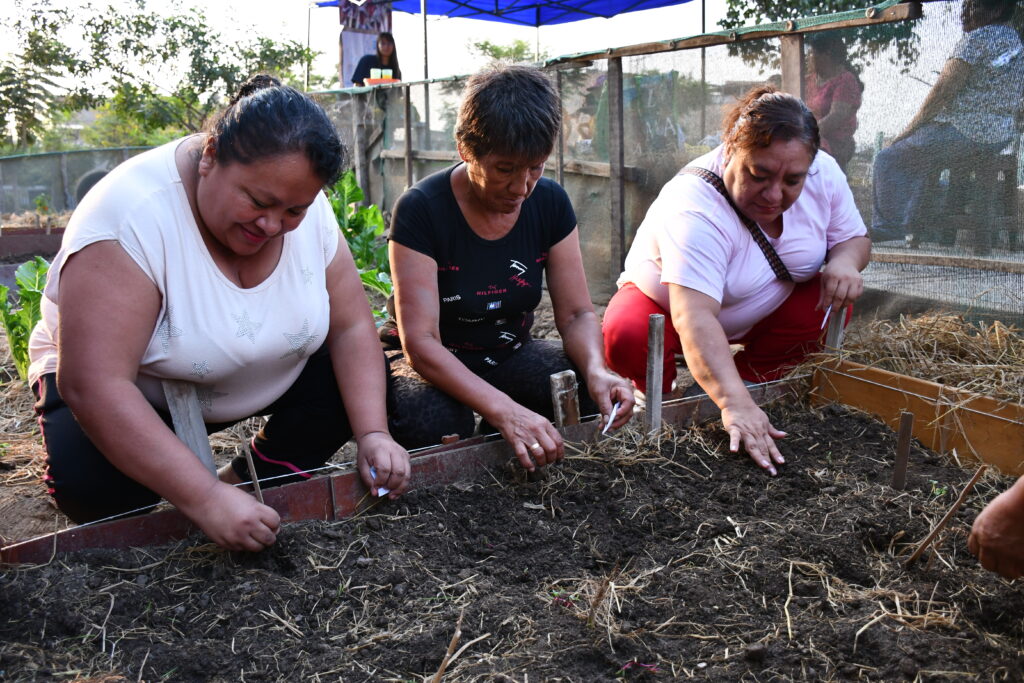 2024-2025| Familias construyendo resiliencia: Agricultura urbana en Lima Sur ante la inseguridad alimentaria y el cambio climático