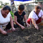 2024-2025| Familias construyendo resiliencia: Agricultura urbana en Lima Sur ante la inseguridad alimentaria y el cambio climático