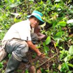 2023-2026| Comunidades, mujeres y jóvenes fortalecen su actoría en la conservación de sus  ecosistemas para enfrentar la crisis climática en Junín y Lima Sur