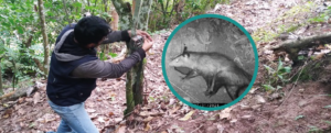 Comunidades nativas y campesinas promueven creación de áreas de conservación comunal