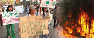 Los bosques arden, pero los jóvenes alzan la voz: El futuro está en disputa
