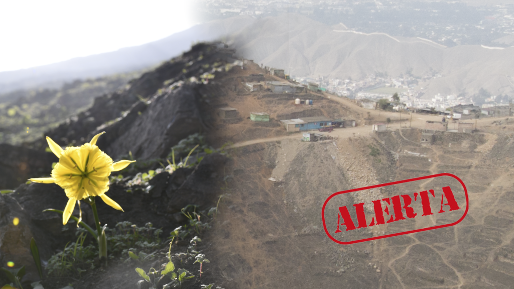 Organizaciones y vecinos exigen protección urgente para la Loma de Pamplona ante ataques constantes