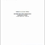 Auditoria Financiera del Proyecto DKA Nro 234000-016/239K–Medio ambiente y género en comunidades urbanasy rurales en Lima Sur, Junín y Huancavelica Febrero 2017–Enero 2018
