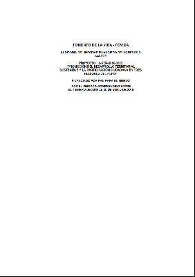 Auditoria Financiera la Proyecto PPM “Promoción del Desarrollo Territorial Sostenible y la Participación Ciudadana en 3 Regiones del Perú” enero-junio 2019