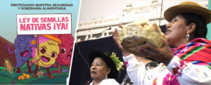 Gremios agrarios presentaron ante el Congreso propuesta de ley para proteger las semillas nativas ante la amenaza de los transgénicos