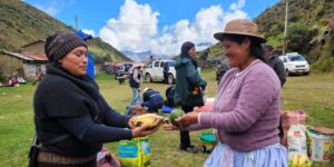 Junín: Intercambio de semillas en Pariahuanca promueve la conservación de la agrobiodiversidad