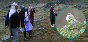 Día Internacional de la Diversidad Biológica: comités ambientales como guardianes y guardianas de la biodiversidad