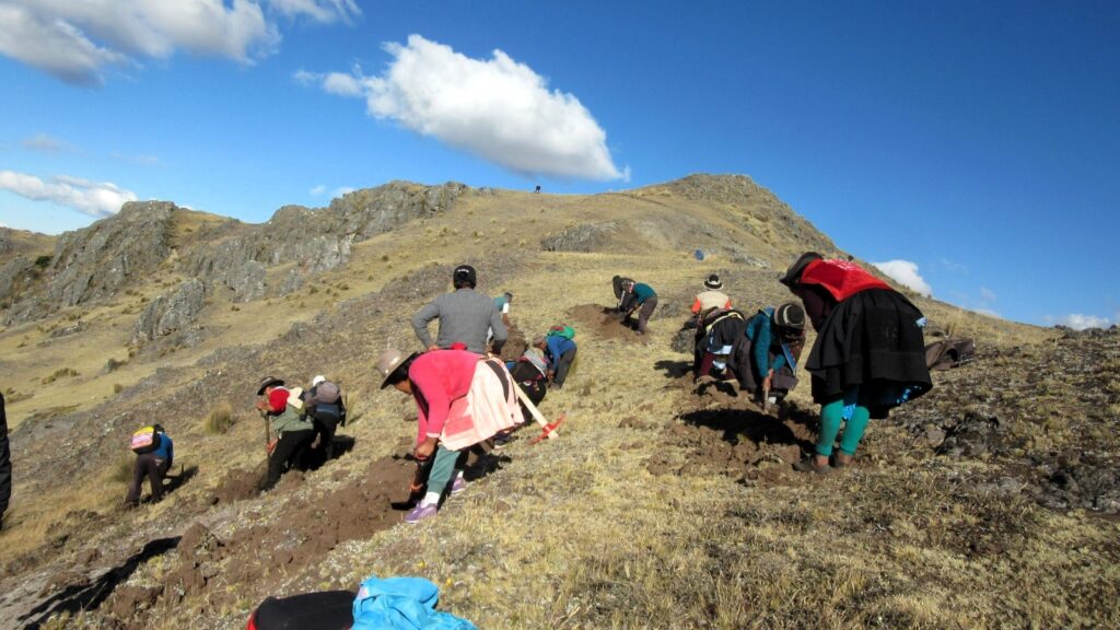 La Esperanza Verde: Reforestación comunitaria para la siembra de agua en los andes de Junín y Huancavelica 