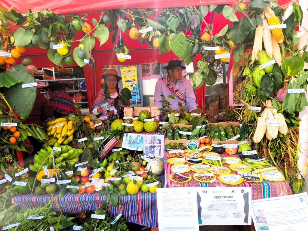 Junín: Pariahuanca conmemora el Día del Campesino con la IV Feria de la Agrobiodiversidad, impulsando la conservación y diversificación de cultivos tradicionales