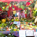 Junín: Pariahuanca conmemora el Día del Campesino con la IV Feria de la Agrobiodiversidad, impulsando la conservación y diversificación de cultivos tradicionales