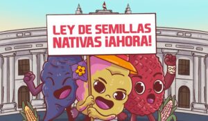 GRISEN logró inscripción de proyecto de ley para proteger sistemas tradicionales de semillas nativas