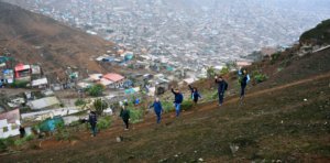 Defendiendo las Lomas y fortaleciendo comunidades frente al cambio climático en Lima Sur
