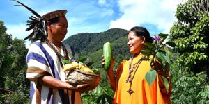 Documental| Voces de la Selva: la agroecología como defensa del buen vivir