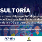 CONSULTORÍA: Evaluación Externa del Proyecto «Mujeres articuladas construyendo liderazgos feministas inciden por la prevención de la VdG y el derecho al cuidado en Lima»