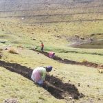 Sembrando agua, cosechando futuro sustentable: el trabajo de los comités ambientales comunales