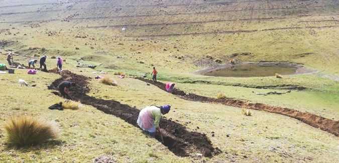 Sembrando agua, cosechando futuro sustentable: el trabajo de los comités ambientales comunales