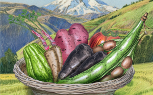 Nuevo catálogo documenta 42 especies de alimentos ancestrales en el distrito de Pariahuanca, Junín