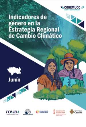 Indicadores Junín Indicadores Junín