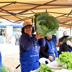 Comunidades urbanas promueven ferias agroecológicas en Lima Sur para enfrentar la inseguridad alimentaria