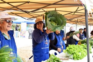 Comunidades urbanas promueven ferias agroecológicas en Lima Sur para enfrentar la inseguridad alimentaria