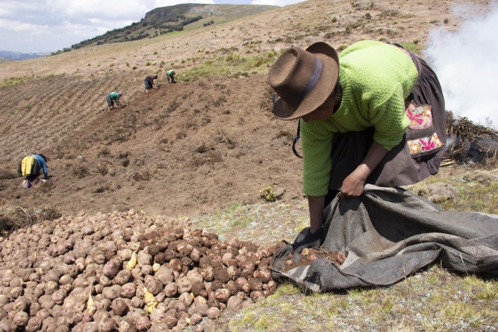 Lima en el centro del debate: alertan sobre crisis alimentaria y proponen una salida urgente desde la agroecología