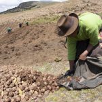 Lima en el centro del debate: alertan sobre crisis alimentaria y proponen una salida urgente desde la agroecología