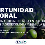OPORTUNIDAD LABORAL: Profesional de incidencia en políticas públicas