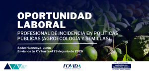 OPORTUNIDAD LABORAL: Profesional de incidencia en políticas públicas