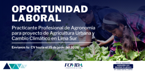Convocatoria – Lima| Practicante Profesional de Agronomía para proyecto de Agricultura Urbana y Cambio Climático en Lima Sur