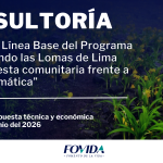 CONSULTORÍA| Estudio de Línea Base del Programa “Conservando las Lomas de Lima Sur: respuesta comunitaria frente a la crisis climática”