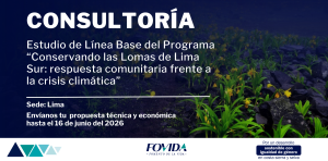 CONSULTORÍA| Estudio de Línea Base del Programa “Conservando las Lomas de Lima Sur: respuesta comunitaria frente a la crisis climática”