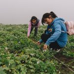Lima Sur: Comunidades, mujeres y jóvenes se organizaron para enfrentar el cambio climático