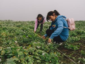 Lima Sur: Comunidades, mujeres y jóvenes se organizaron para enfrentar el cambio climático