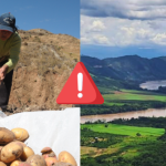 ¿Por qué el pedido de facultades pone en riesgo a la naturaleza y la agricultura familiar?