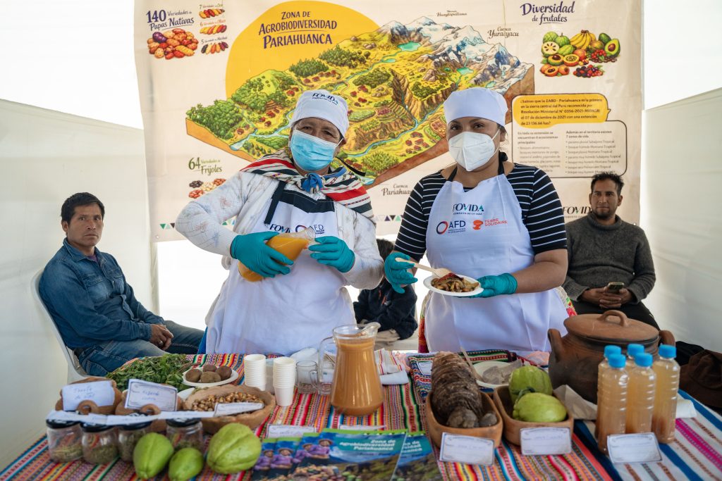 Pariahuanca: 42 alimentos subutilizados tienen el potencial para combatir la anemia y la desnutrición en Junín