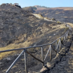 Junín: Incendio forestal destruye más de 6 mil plantones nativos en área de conservación comunal “Rumichurco”, Ñuñunhuayo, Jauja