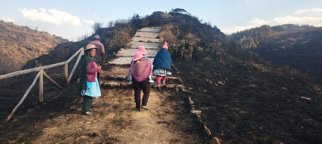 Incendios forestales arrasaron territorios y medios de vida en el Perú ante una respuesta estatal insuficiente
