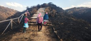 Incendios forestales arrasaron territorios y medios de vida en el Perú ante una respuesta estatal insuficiente